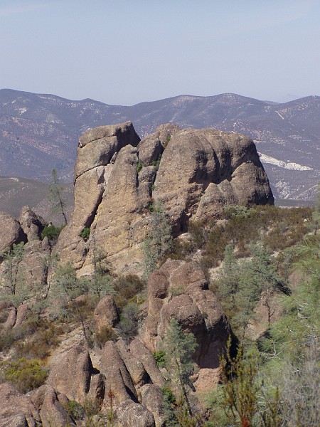 pinn28.jpg