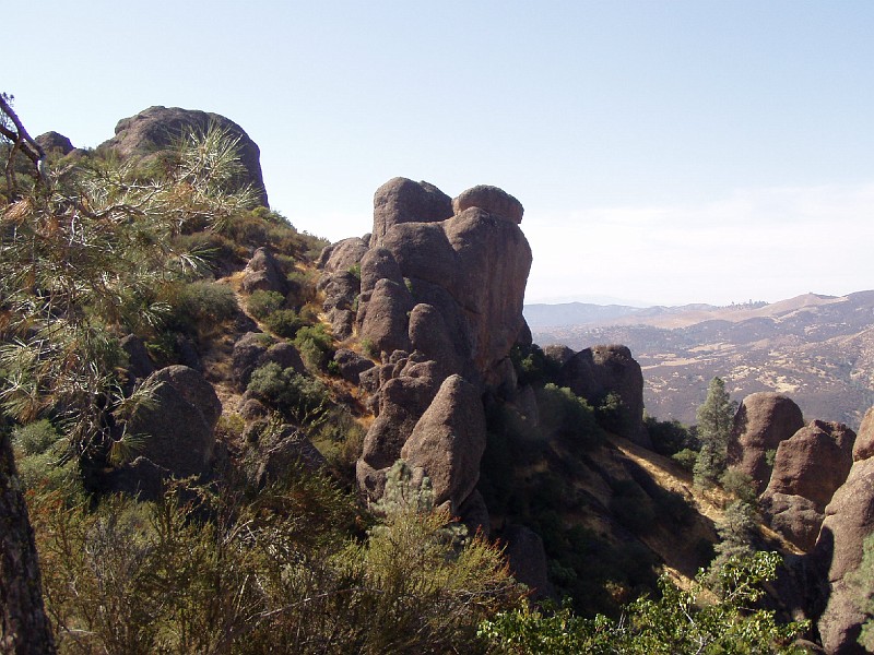 pinn32.jpg