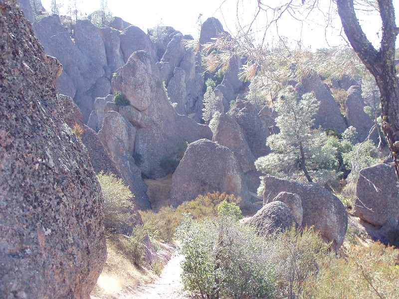 pinn33.jpg