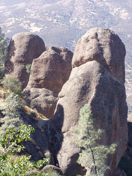 pinn35.jpg
