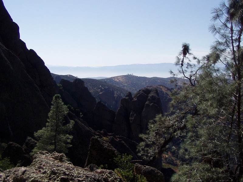 pinn36.jpg