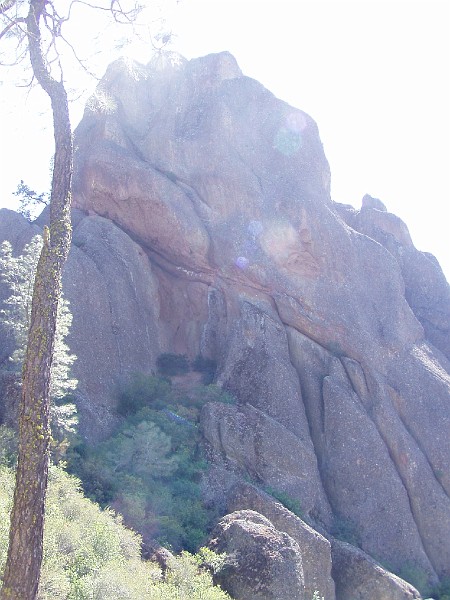 pinn37.jpg