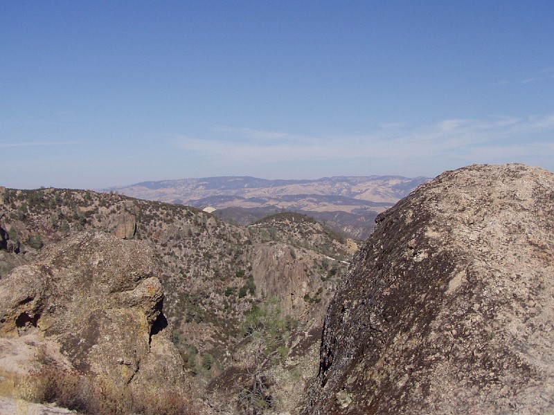 pinn42.jpg