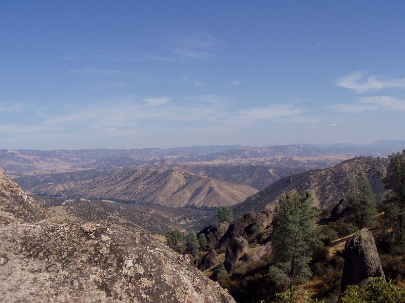 pinn43.jpg