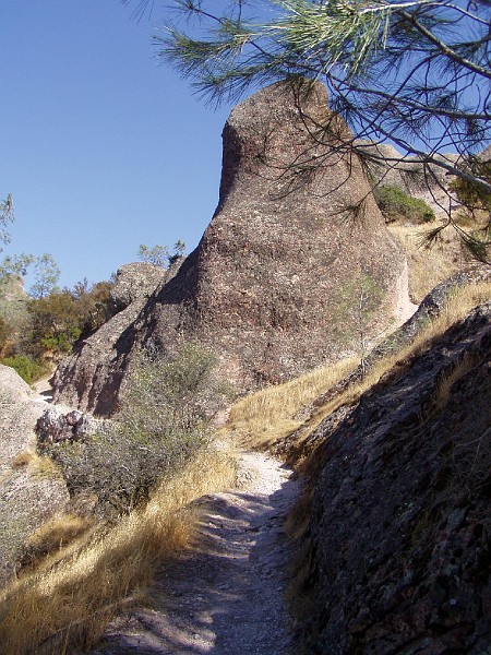 pinn45.jpg