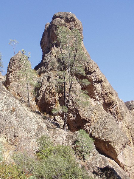 pinn49.jpg