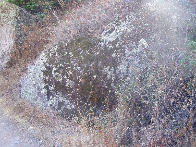 pinn53.jpg