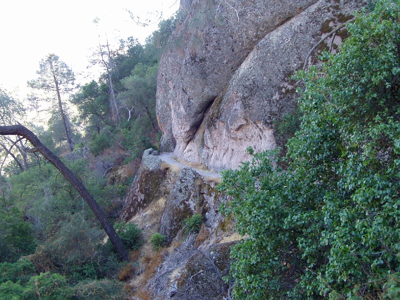 pinn55.jpg
