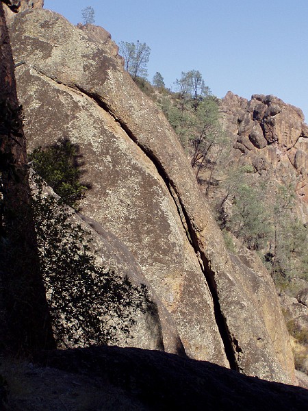 pinn56.jpg