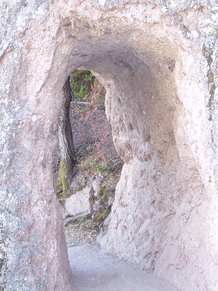 pinn57.jpg