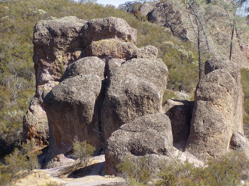 pinn60.jpg