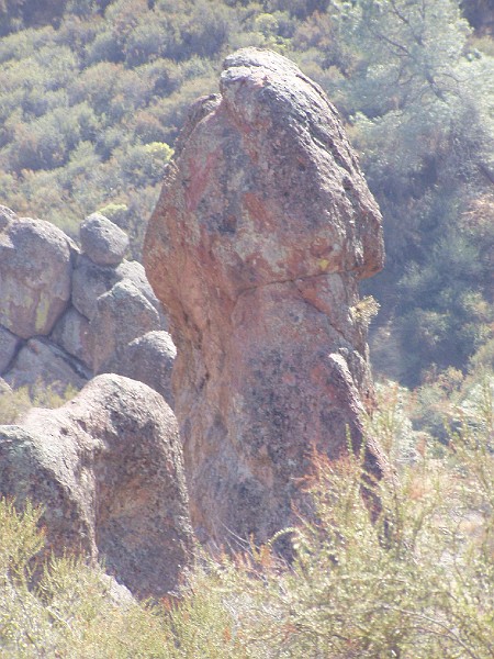 pinn61.jpg