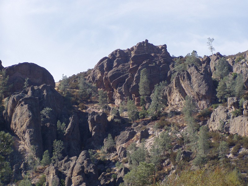 pinn62.jpg