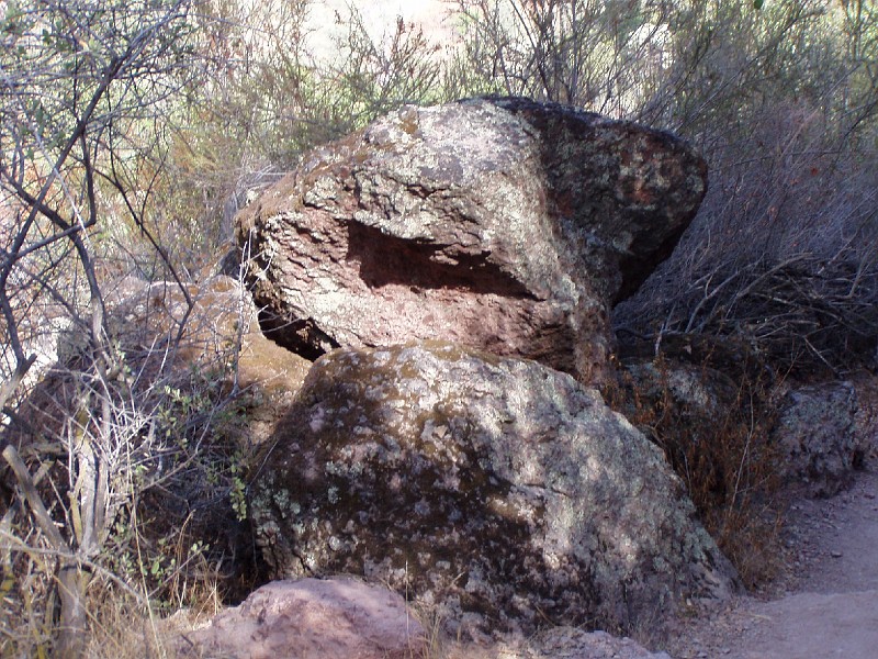 pinn66.jpg