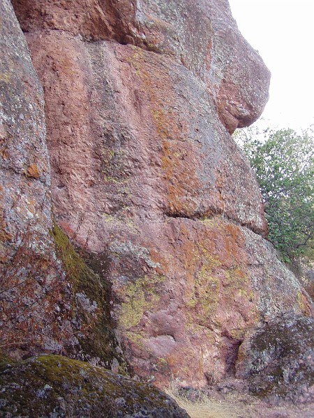 pinn68.jpg