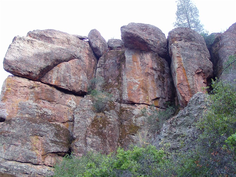 pinn70.jpg