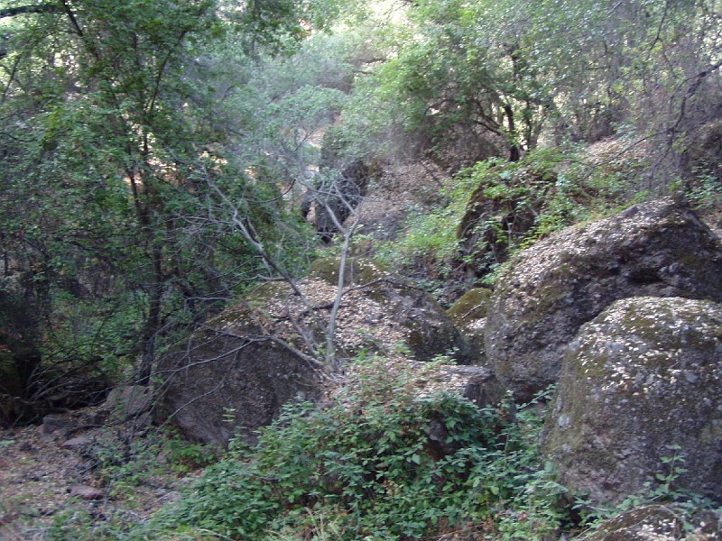 pinn71.jpg