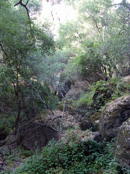 pinn72.jpg