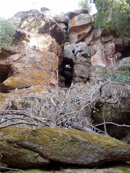 pinn73.jpg