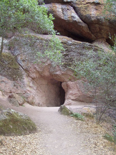 pinn74.jpg