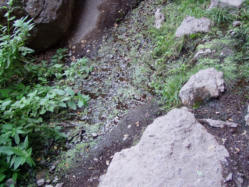 pinn77.jpg