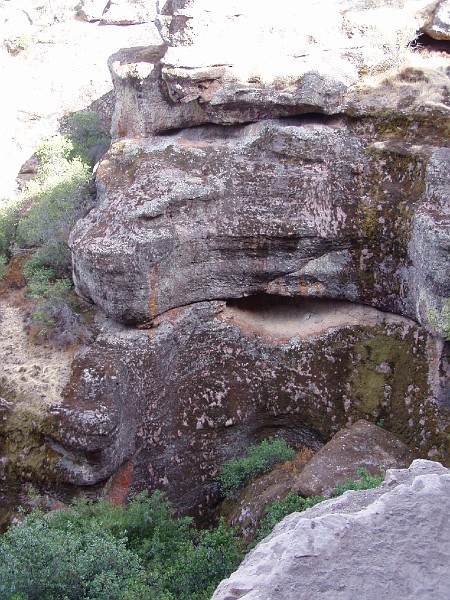 pinn80.jpg