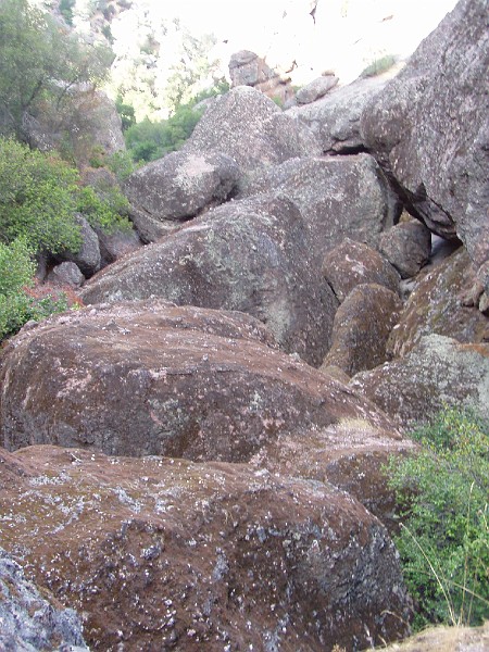 pinn81.jpg