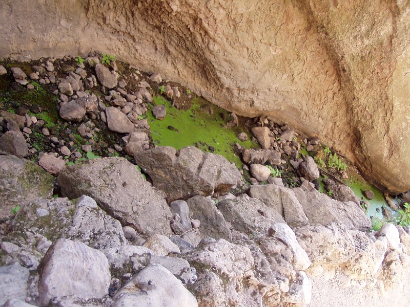 pinn83.jpg