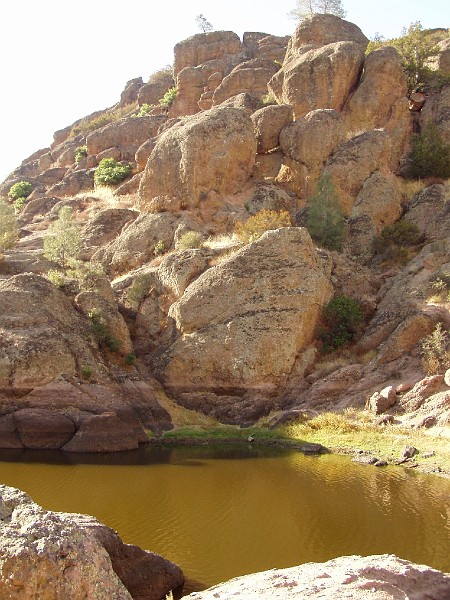 pinn86.jpg