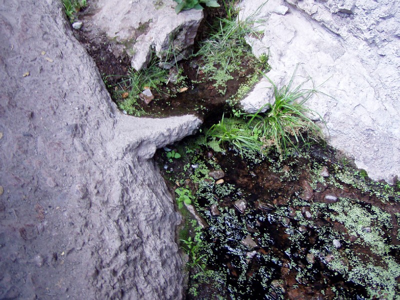 pinn90.jpg