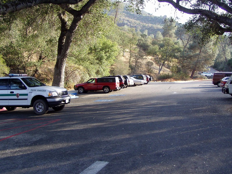 pinn93.jpg