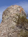 pinn20