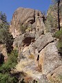 pinn38