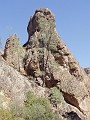 pinn49
