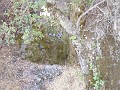 pinn59