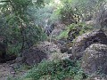 pinn71