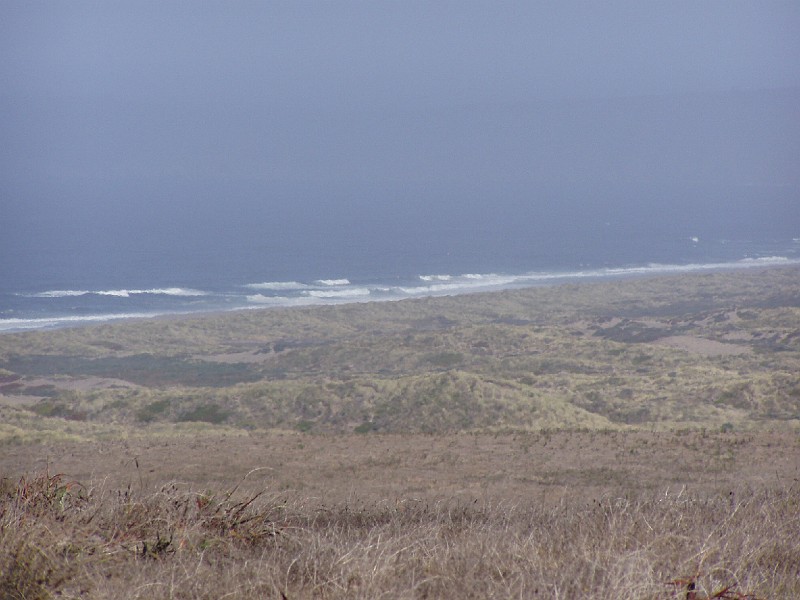 point_reyes_03.jpg