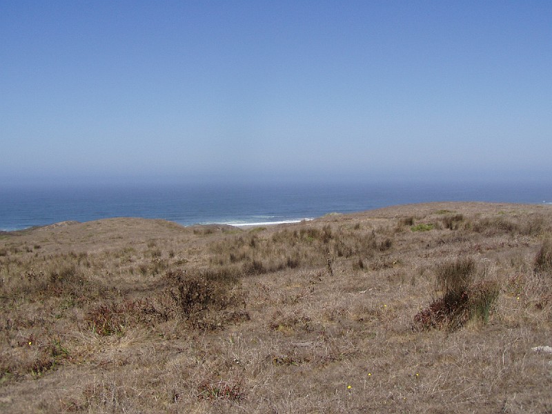 point_reyes_04.jpg