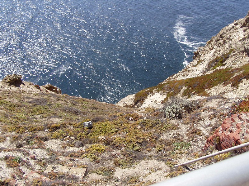 point_reyes_13.jpg
