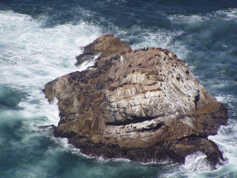 point_reyes_15.jpg