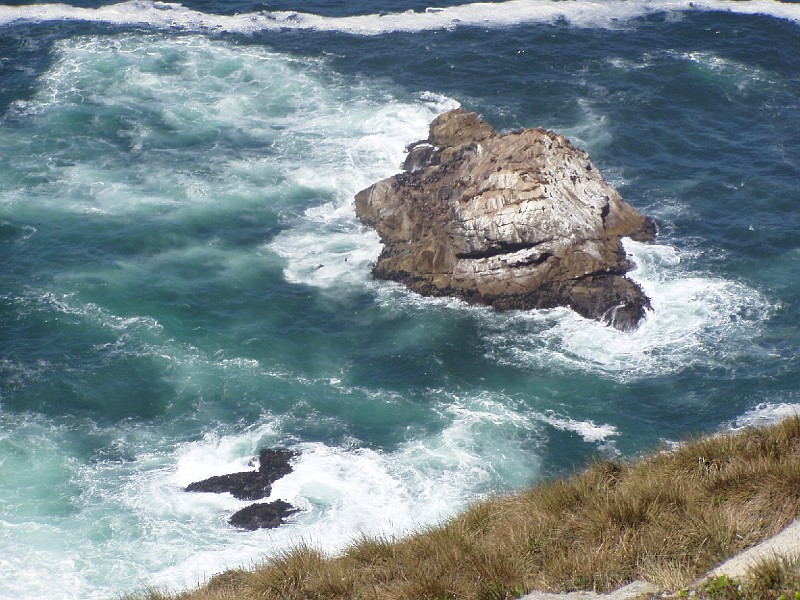 point_reyes_16.jpg