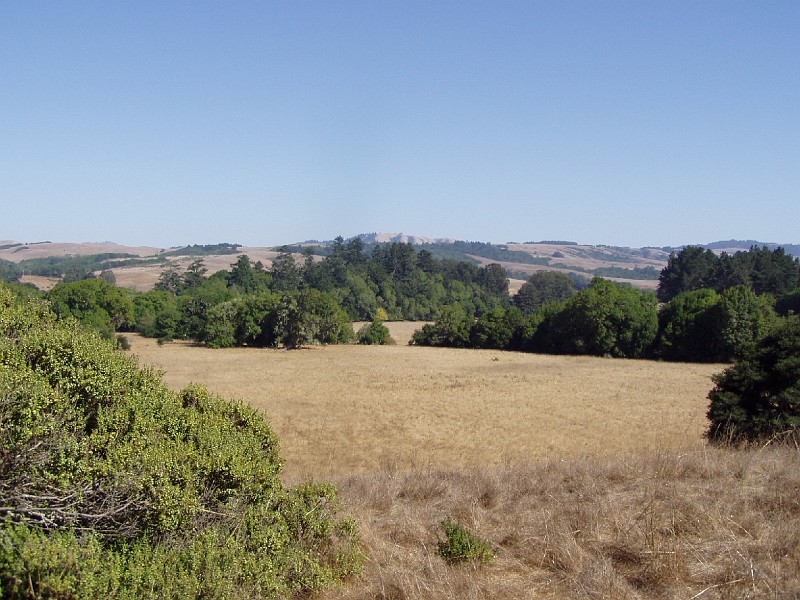 point_reyes_26.jpg