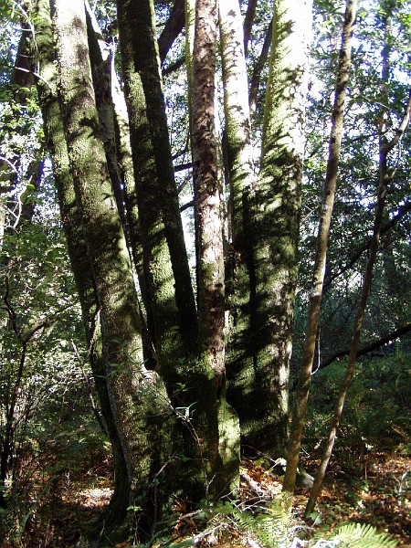 point_reyes_28.jpg