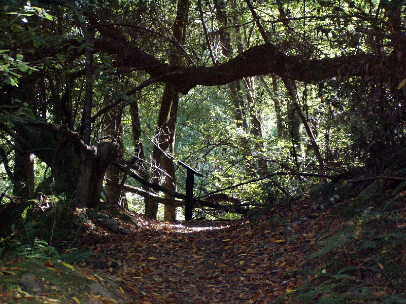 point_reyes_32.jpg