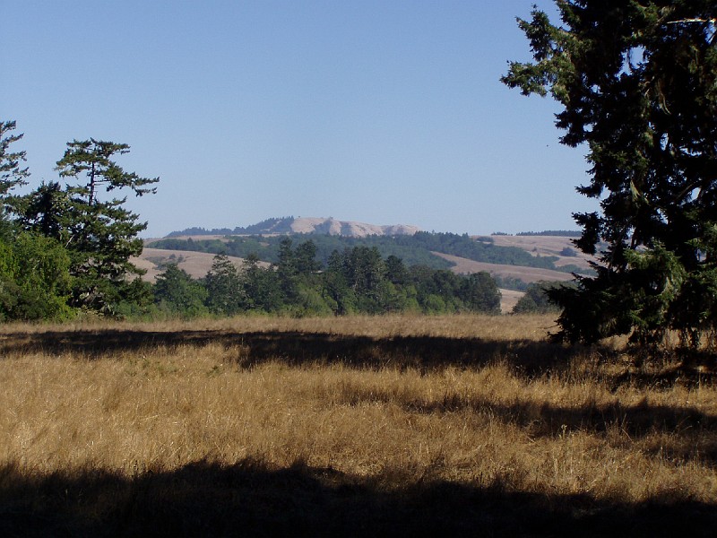 point_reyes_33.jpg