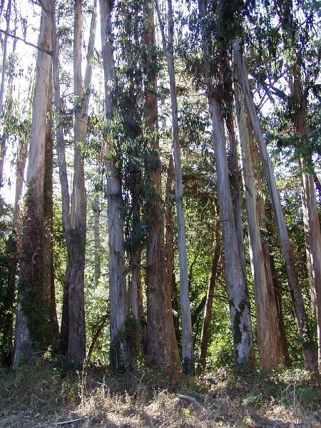 point_reyes_38.jpg