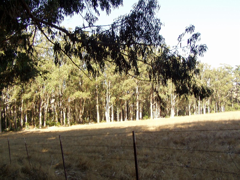 point_reyes_39.jpg