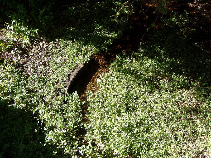 point_reyes_41.jpg