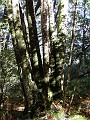 point_reyes_28