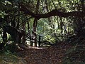 point_reyes_32